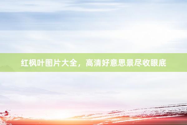 红枫叶图片大全，高清好意思景尽收眼底