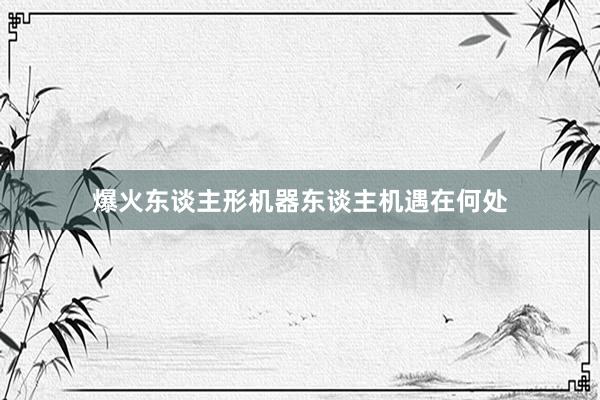 爆火东谈主形机器东谈主机遇在何处